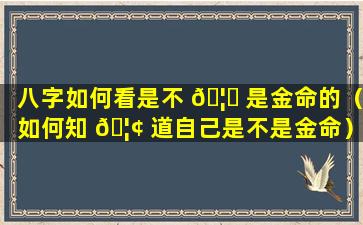 八字如何看是不 🦈 是金命的（如何知 🦢 道自己是不是金命）